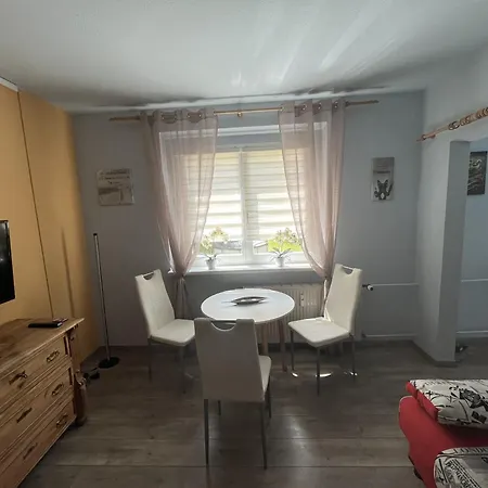 Gemuetliche Kleine In Apartment Altenberg