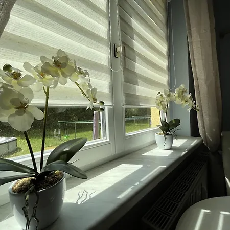 Gemuetliche Kleine In Altenberg (Osterzgebirge)