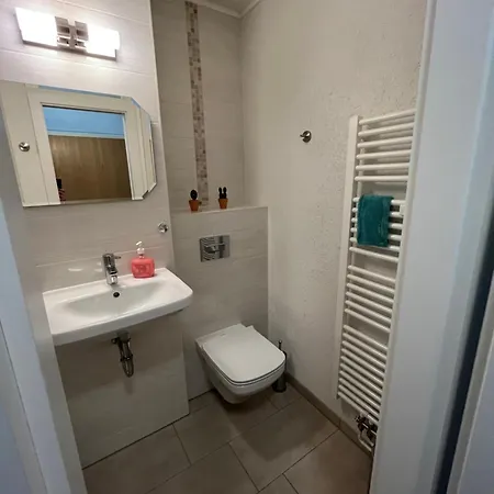 Gemuetliche Kleine In Apartment Altenberg