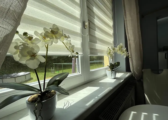 Gemuetliche Kleine In Альтенберг